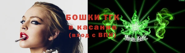 хмурый Абаза