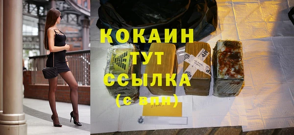 хмурый Абаза