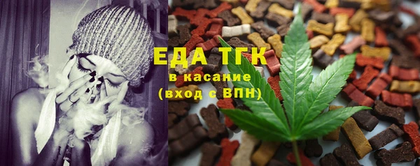 хмурый Абаза