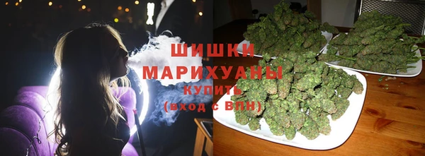 хмурый Абаза