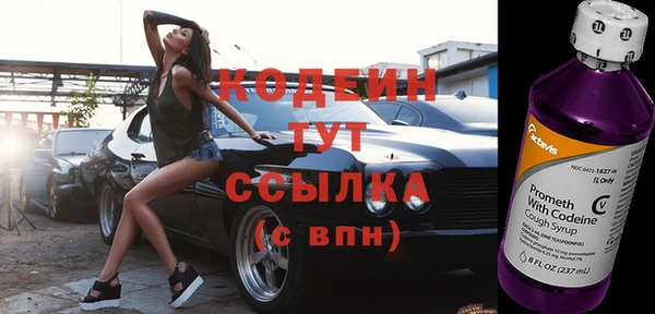 хмурый Абаза