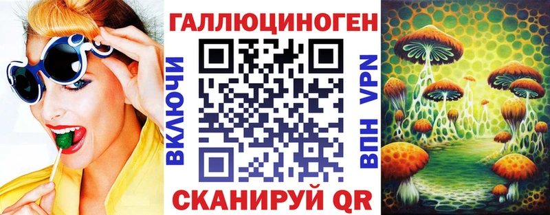 kraken как войти Грайворон Галлюциногенные грибы Psilocybe